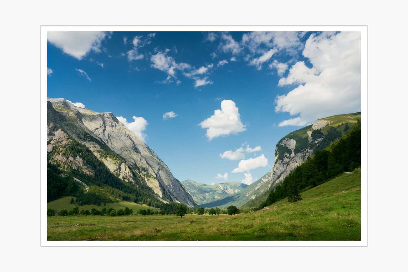 Max Schiefele Alle Bilder  DS10232